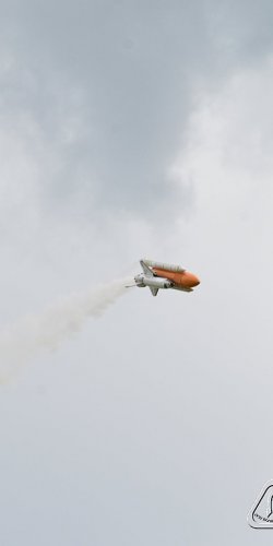 2013 Suche 29062013 Michal